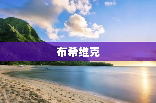 布希维克：人类历史上的一次大规模流行病