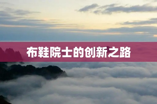 布鞋院士的创新之路