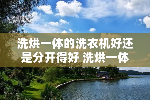 洗烘一体的洗衣机好还是分开得好 洗烘一体的洗衣机好还是分开得好呢 洗烘一体的洗衣机好还是分开得好 洗烘一体的洗衣机好还是分开得好呢