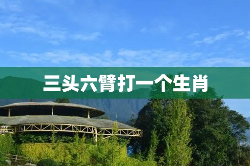 三头六臂打一个生肖