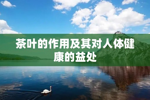 茶叶的作用及其对人体健康的益处