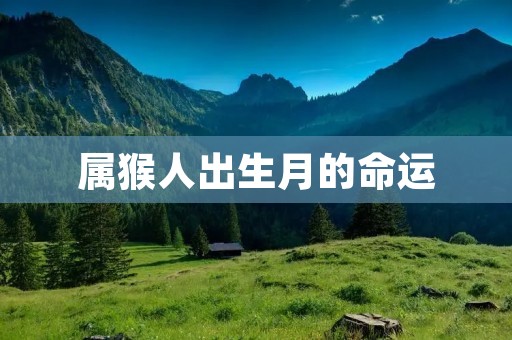 属猴人出生月的命运
