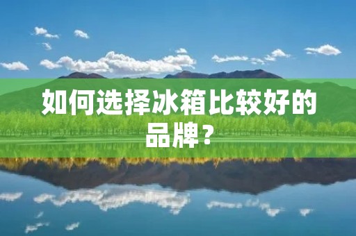如何选择冰箱比较好的品牌？