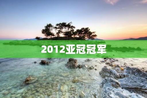 2012亚冠冠军:广州恒大夺冠记 2012亚冠冠军:广州恒大夺冠记