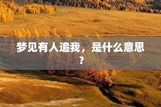 梦见有人追我，是什么意思？
