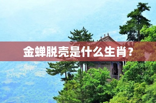 金蝉脱壳是什么生肖？