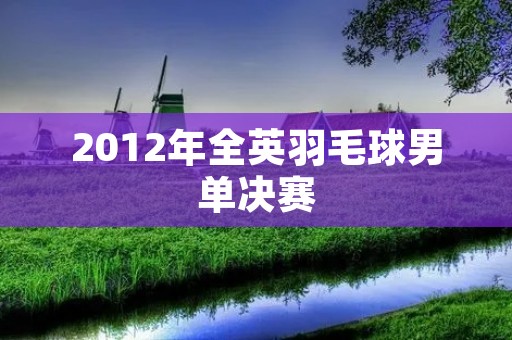 2012年全英羽毛球男单决赛:林丹夺冠,李宗伟屈居亚军 2012年全英羽毛球男单决赛:林丹夺冠,李宗伟屈居亚军