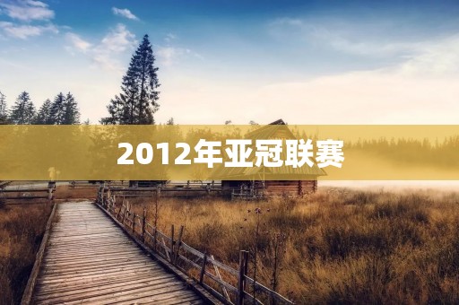 2012年亚冠联赛:广州恒大夺冠 2012年亚冠联赛:广州恒大夺冠