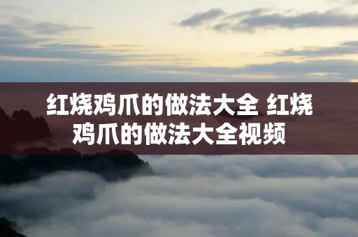 红烧鸡爪的做法大全 红烧鸡爪的做法大全视频