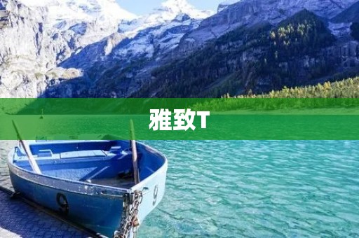 雅致T:用科技打造的时尚新品牌 雅致T:用科技打造的时尚新品牌