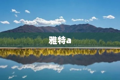 雅特a：给你不一样的驾驶体验