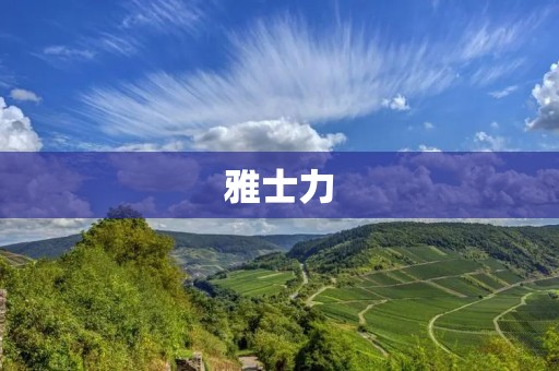 雅士力:全球领先的个人护理品牌 雅士力:全球领先的个人护理品牌