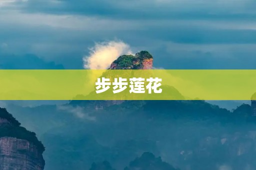 步步莲花：借鉴自然之美，打造人间仙境