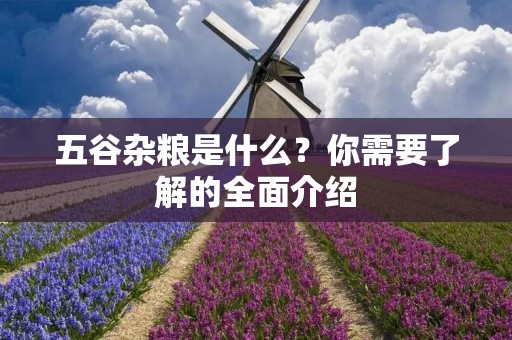 五谷杂粮是什么？你需要了解的全面介绍