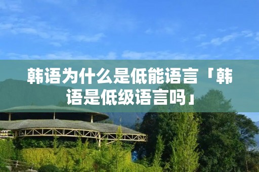 韩语为什么是低能语言「韩语是低级语言吗」