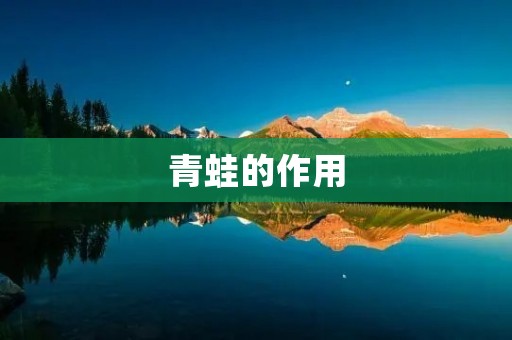 青蛙的作用