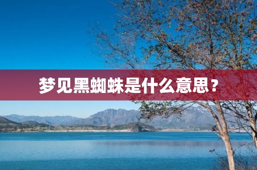 梦见黑蜘蛛是什么意思？