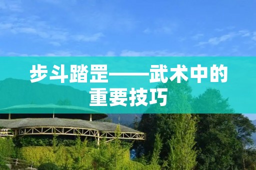 步斗踏罡——武术中的重要技巧