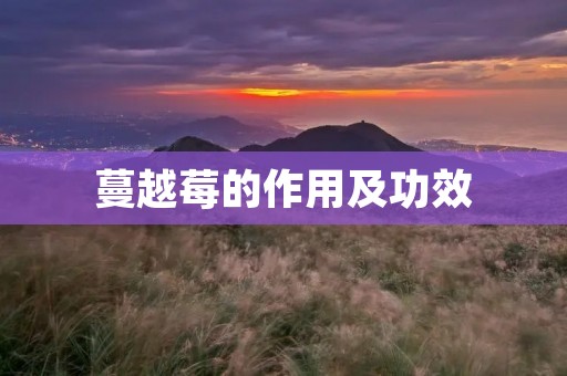 蔓越莓的作用及功效 蔓越莓的作用及功效