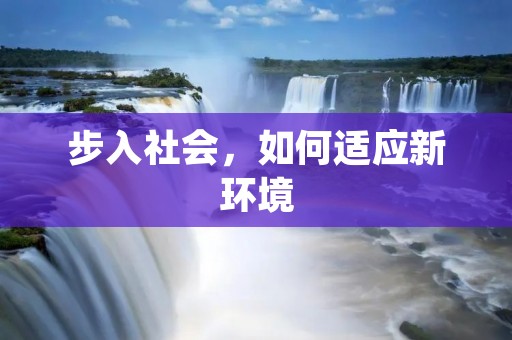 步入社会,如何适应新环境 步入社会,如何适应新环境