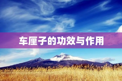 车厘子的功效与作用:营养价值大揭秘