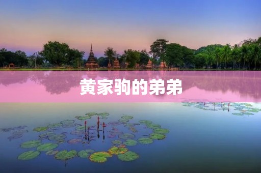 黄家驹的弟弟:黄家强