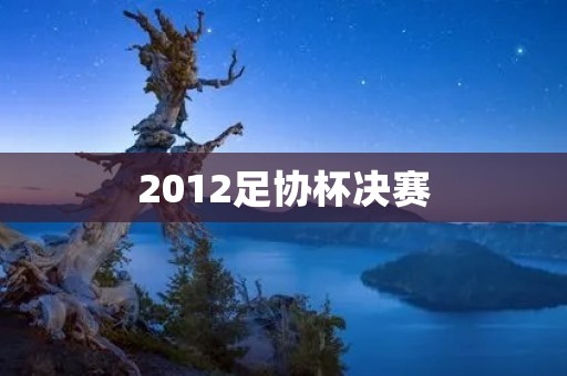 2012足协杯决赛：广州恒大夺冠，重庆力帆憾失冠军