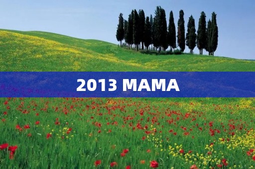 2013 MAMA:亚洲音乐盛典的绚烂之夜 2013 MAMA:亚洲音乐盛典的绚烂之夜