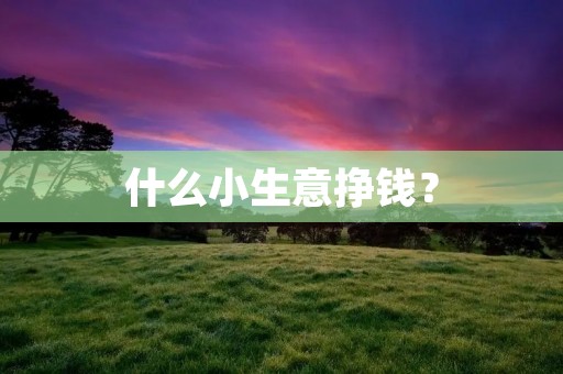 什么小生意挣钱?