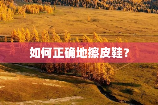 如何正确地擦皮鞋? 如何正确地擦皮鞋?