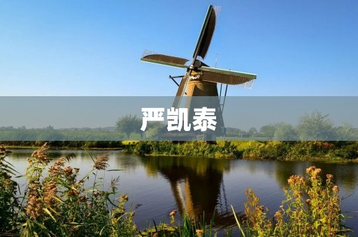 严凯泰:中国现代化建设的先驱者 严凯泰:中国现代化建设的先驱者