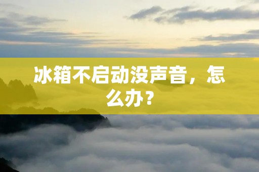 冰箱不启动没声音，怎么办？