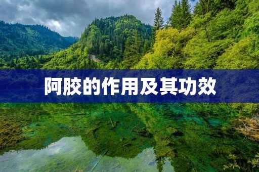阿胶的作用及其功效