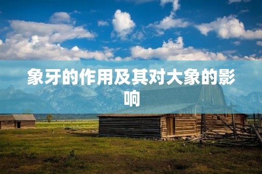 象牙的作用及其对大象的影响