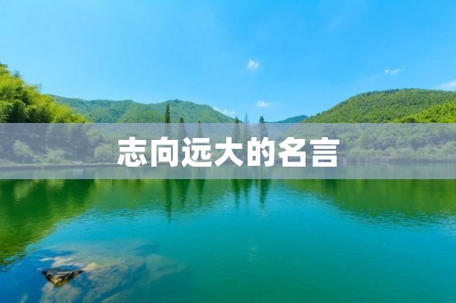 志向远大的名言