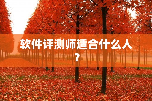 软件评测师适合什么人?