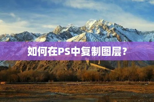 如何在PS中**图层？