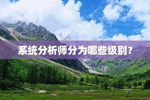 系统分析师分为哪些级别?