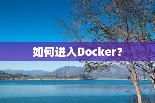 如何进入Docker?