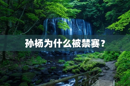 孙杨为什么被禁赛?