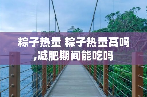 粽子热量 粽子热量高吗,减肥期间能吃吗