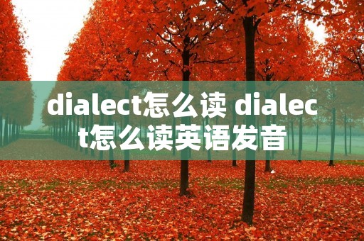 dialect怎么读 dialect怎么读英语发音