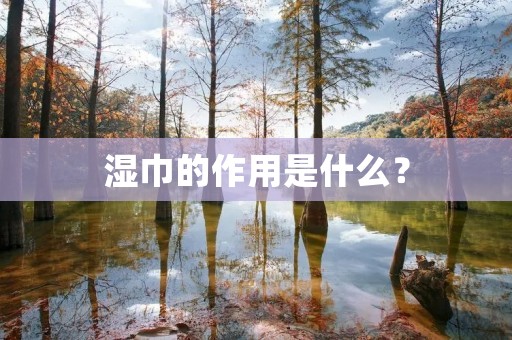 湿巾的作用是什么? 湿巾的作用是什么?