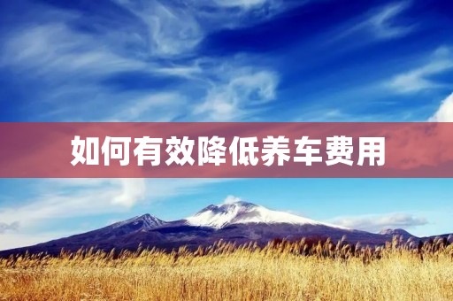 如何有效降低养车费用