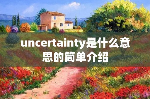 uncertainty是什么意思的简单介绍 uncertainty是什么意思的简单介绍