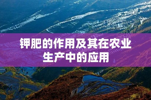 钾肥的作用及其在农业生产中的应用