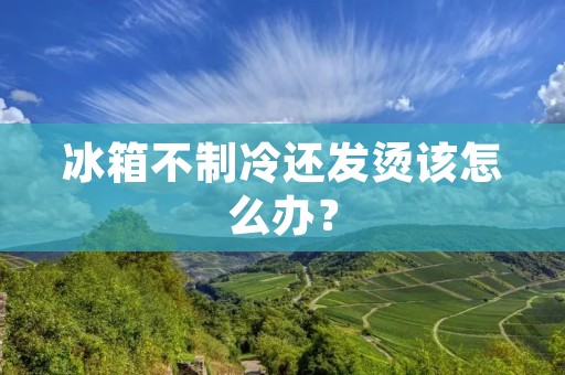 冰箱不制冷还发烫该怎么办? 冰箱不制冷还发烫该怎么办?