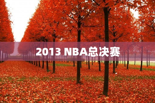 2013 NBA总决赛：热火连任还是马刺夺冠？