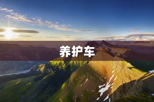 养护车：城市绿化的得力助手