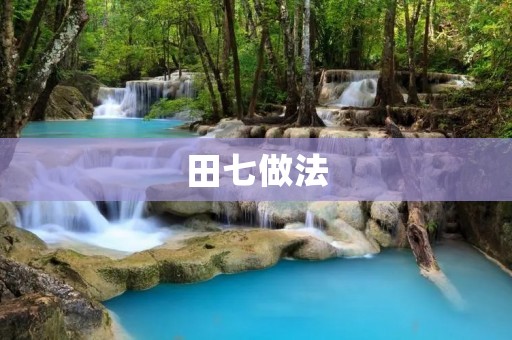 田七做法:传统中药炖品美味瘦身的佳品 田七做法:传统中药炖品美味瘦身的佳品